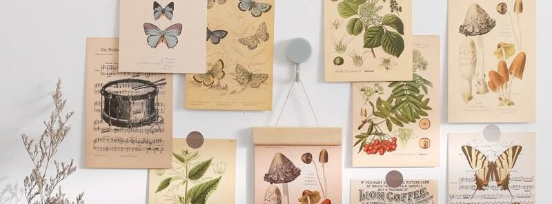 collection-banner-image
